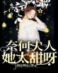男主女主是周周,苏锦,许荣华的小说是什么_奈何夫人她太甜呀！