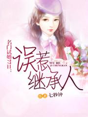 男主女主是展颜,陆瑾瑜,林廷的小说是什么_名门试婚77日：误惹继承人