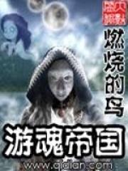 “灵魂”一词，包含了太多的传说和争议。“灵魂”究竟是否存在呢？在科学技术高速发展的二十一世纪新时代里_游魂帝国