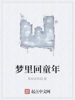 男主女主是杨帆,杨福堂,老李的小说是什么_梦里回童年