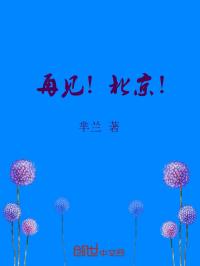 小说《再见！北京》TXT下载_再见！北京