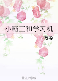 男主女主是薛晗,路瑶,林璇的小说是什么_小霸王和学习机