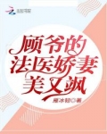 小说《顾爷的法医娇妻美又飒》TXT百度云_顾爷的法医娇妻美又飒