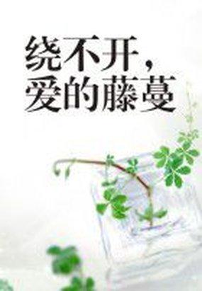 小说《绕不开，爱的藤蔓》TXT下载_绕不开，爱的藤蔓