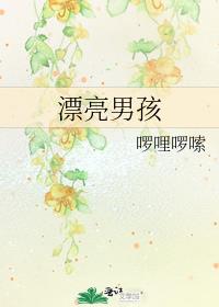 男主女主是陈晓辉,杜蓝,刘磊的小说是什么_漂亮男孩
