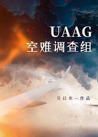 小说《UAAG空难调查组》TXT百度云_UAAG空难调查组