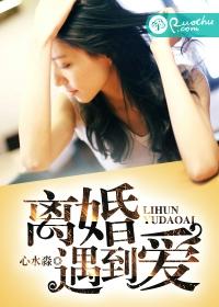 男主女主是姬语锋,唐琳,郑希元的小说是什么_离婚遇到爱