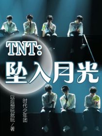 小说《TNT：坠入月光》TXT百度云_TNT：坠入月光