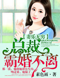 男主女主是苏乔,霍燕庭,魏芸菁的小说是什么_妻乐无穷，总裁霸婚不离