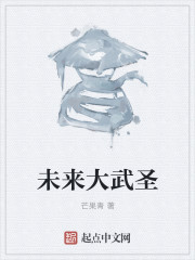 男主女主是林毅,林广乾,心晴的小说是什么_未来大武圣