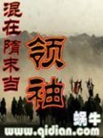 王武诸葛亮《三国志新传》_三国志新传