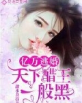 小说《亿万逃婚：天下醋王一般黑》TXT下载_亿万逃婚：天下醋王一般黑