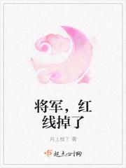 小说《将军，红线掉了》TXT下载_将军，红线掉了