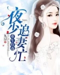 白素林淑美《重生有毒：夜少追妻忙》_重生有毒：夜少追妻忙