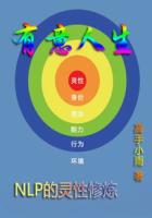 小说《有意人生之NLP的灵性修炼》TXT下载_有意人生之NLP的灵性修炼