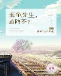 方望舒徐勇达《海龟先生，造路不？》_海龟先生，造路不？