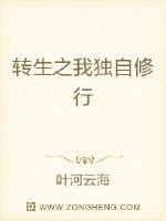 男主女主是叶晓峰,叶晓雨,赵震的小说是什么_转生之独自修炼