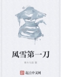 男主女主是叶青,林江,姜守拙的小说是什么_风雪第一刀