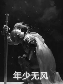 小说《年少无风》TXT下载_年少无风