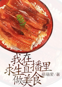 男主女主是顾如安,许琳林,贾昊宇的小说是什么_我在求生直播里做美食