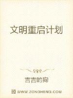 陈子游吴魁《文明重启计划》_文明重启计划