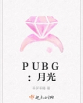 PUBG：月光_PUBG：月光