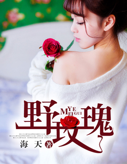 [小说]晋江VIP2020-05-07完结 总书评数：8262当前被收藏数：11806 文案1： 叶玫循规蹈_野玫瑰