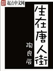 类似生在唐人街小说_生在唐人街