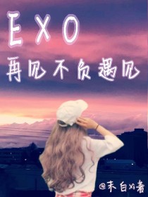 小说《EXO再见不负遇见》TXT下载_EXO再见不负遇见