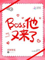 职业快穿boss他又来了txt_职业快穿：boss总让我撩他