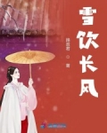 男主女主是梅长风,柳念梅,独孤的小说是什么_雪饮长风