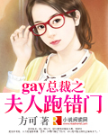 男主女主是心云,宋锦航,柏扬的小说是什么_gay总裁之夫人跑错门