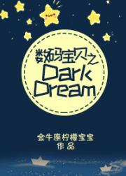 小说《［数码宝贝］DarkDream》TXT百度云_［数码宝贝］DarkDream
