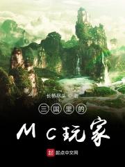 三国里的MC玩家_三国里的MC玩家