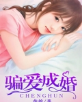 男主女主是容岚,程雅茹,战丰臣的小说是什么_骗爱成婚