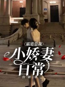 男主女主是陆景川,安柔,陆莱雅的小说是什么_霸道总裁：小娇妻日常