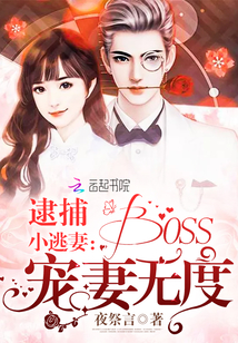男主女主是司空,露西亚,郑赫峰的小说是什么_逮捕小逃妻：boss宠妻无度