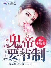 男主女主是兰岚,陶丁丁,沈丽萍的小说是什么_通灵小娇妻：鬼帝，要节制！