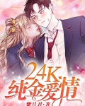 小说《24K纯金爱情》TXT下载_24K纯金爱情