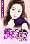 男主女主是孟焱,筱雅,刘希妮的小说是什么_双子情缘：霸道总裁温柔点