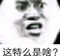 陆雁群小说_孤雁出群