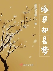 男主女主是徐慕阳,陈云,叶小新的小说是什么_缘来却是梦