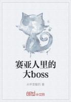 小说《赛亚人里的大boss》TXT下载_赛亚人里的大boss