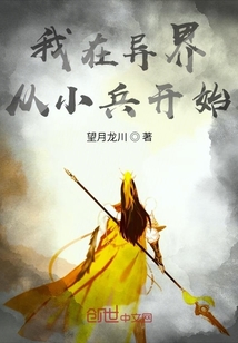 男主女主是王磊,朗青,郎青的小说是什么_我在异界从小兵开始