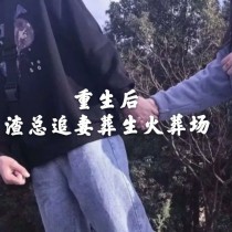 小说《重生之渣总追妻葬身火》TXT百度云_重生之渣总追妻葬身火