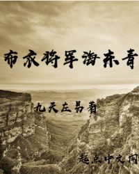 小说《布衣将军海东青》TXT百度云_布衣将军海东青