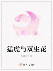 男主女主是穆云舒,陆毓,陆安泰的小说是什么_猛虎与双生花
