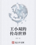 小说《王小双的传奇世界》TXT下载_王小双的传奇世界