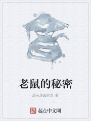 男主女主是赵虎,孟冰龙,孟凡宇的小说是什么_老鼠的秘密