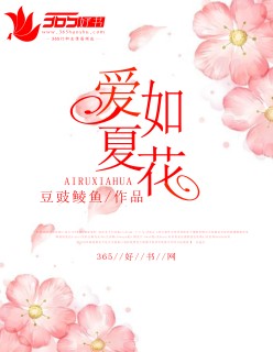 小说《爱如夏花》TXT下载_爱如夏花